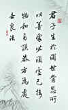07-08.jpg (59909 字節)