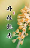 08-12.jpg (57626 字节)